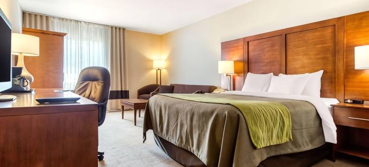 舒适套房酒店(Comfort Inn & Suites Shawinigan)图片