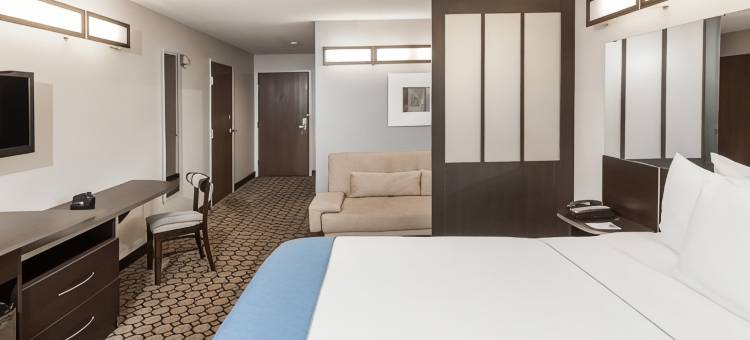 埃尔克哈特麦客达套房酒店(Microtel Inn & Suites by Wyndham Elkhart)图片