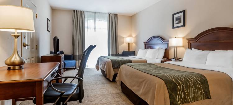 伯灵顿南舒适套房酒店(Comfort Inn & Suites)图片