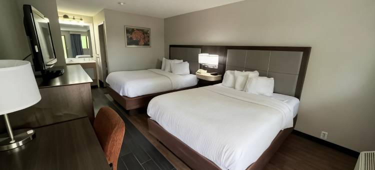 门罗美洲最佳价值酒店及套房(Americas Best Value Inn & Suites Monroe)图片