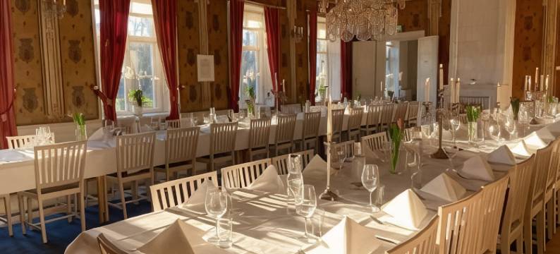 巴卡斯戈斯洛特-加龙省酒店(Bäckaskog Slott)图片