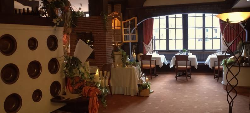 罗曼提斯切斯曼扎萨酒店(Romantisches Hotel Menzhausen)图片