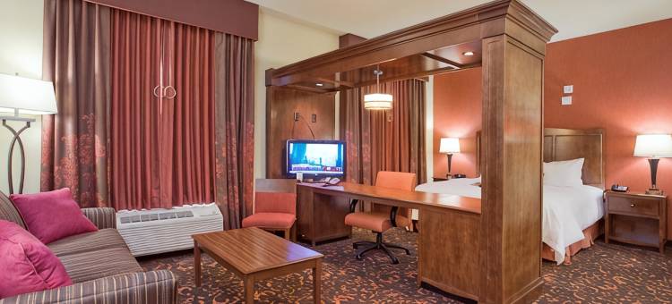 纽布朗费尔斯欢朋套房酒店(Hampton Inn & Suites New Braunfels)图片