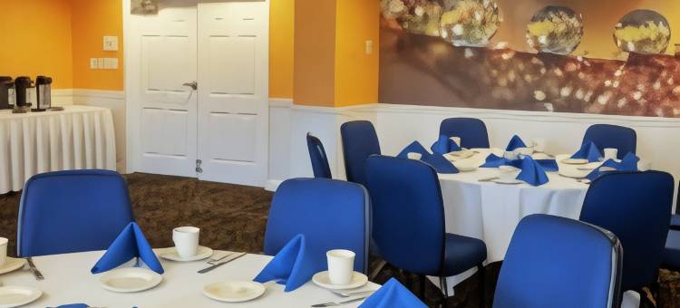 布法罗阿默斯特希尔顿逸林酒店(DoubleTree by Hilton Hotel Buffalo - Amherst)图片