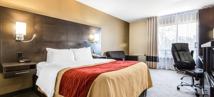 舒适酒店(Comfort Inn)图片