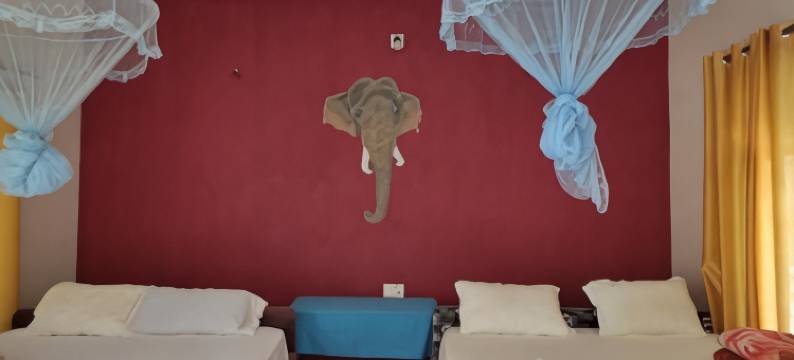 丛林小屋酒店(Bardia Jungle Cottage)图片