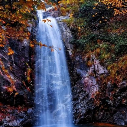 安徽安庆+鹞落坪国家级自然保护区3日2晚自由行