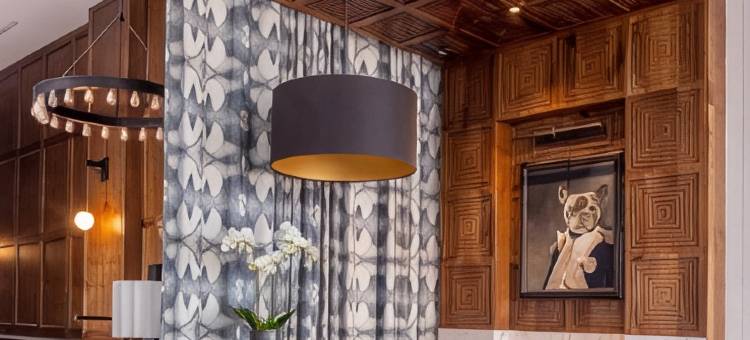 路易斯酒店(The Louis Hotel)图片