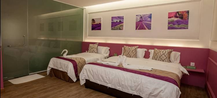 A+精品酒店(A Plus Boutique Hotel)图片