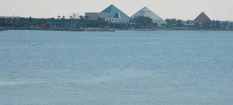 加尔维斯顿岛万豪SpringHill酒店(SpringHill Suites Galveston Island)图片