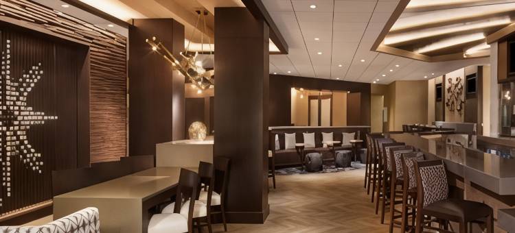 达拉斯/沃斯堡机场万豪酒店(Dallas/Fort Worth Airport Marriott)图片