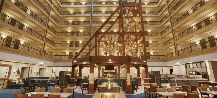 丹佛国际机场希尔顿大使套房酒店(Embassy Suites by Hilton Denver International Airport)图片
