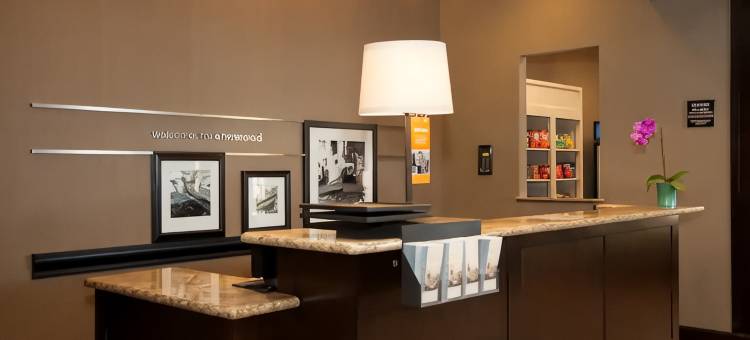 希尔顿欢朋套房酒店-新奥尔良爱姆伍德(Hampton Inn & Suites New Orleans-Elmwood/Clearview Parkway Area)图片