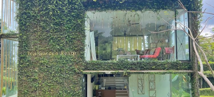 茶园度假村(Tea Garden Resort)图片