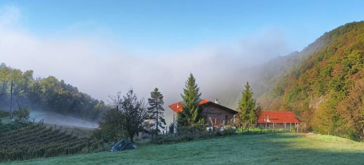 米罗的珍宝(Agriturismo Il Tesoro di MiRo)图片