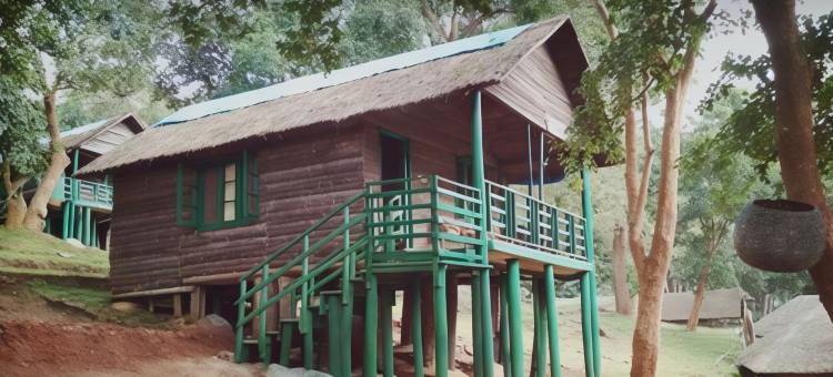 K古迪荒野营舍-丛林小屋(K Gudi Wilderness Camp-Jungle Lodges)图片