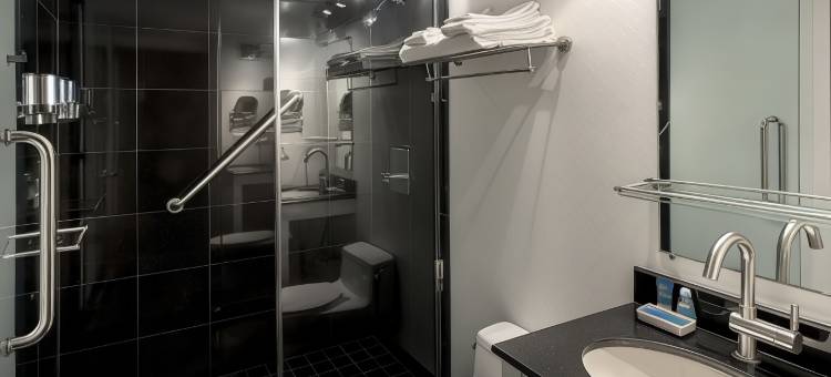 曼哈顿苏荷村福朋喜来登酒店(Four Points by Sheraton Manhattan SoHo Village)图片