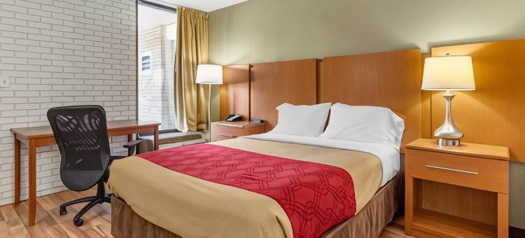 伊康旅馆(Econo Lodge)图片