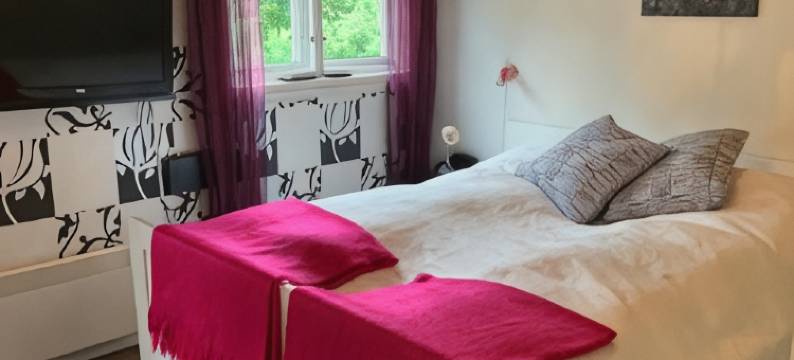 诺布彭约纳特酒店(Nordbø Pensjonat)图片