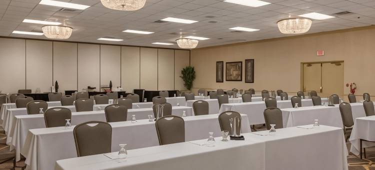 巴吞鲁日希尔顿安泊酒店(Embassy Suites by Hilton Baton Rouge)图片