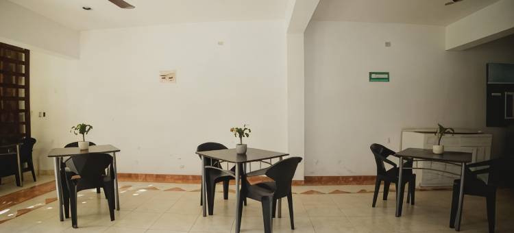 尼克特哈坎佩切(Nicte Ha Campeche)图片
