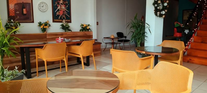 黄金三叶草床和早餐(Trebol Amarillo Bed & Breakfast)图片