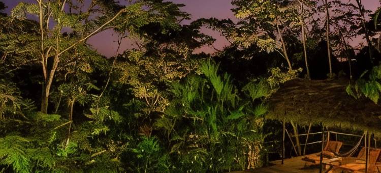 哈玛德里亚山林小屋酒店(Hamadryade Lodge)图片