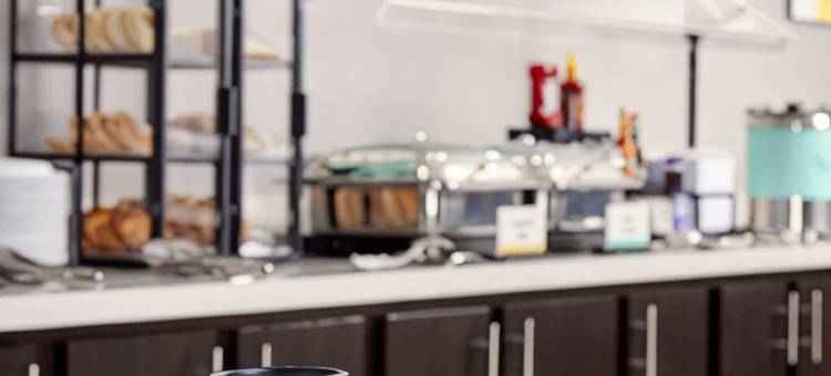 瑟普莱斯菲尼克斯加纳酒店(Garner Hotel Phoenix - Surprise)图片