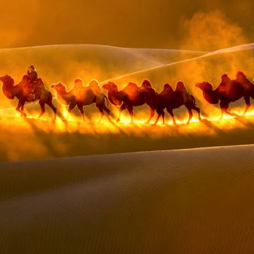 辉腾锡勒草原+响沙湾+内蒙古呼和浩特6日5晚私家团