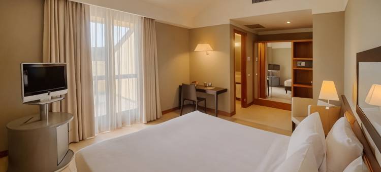 NH利纳特酒店(NH Linate)图片