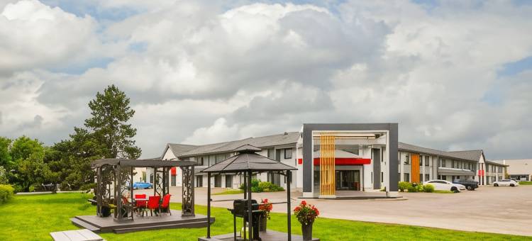 舒适酒店(Comfort Inn)图片