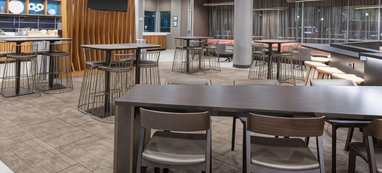 亚特兰大阿尔普哈雷塔/罗斯威尔万豪SpringHill Suites酒店(SpringHill Suites Atlanta Alpharetta/Roswell)图片