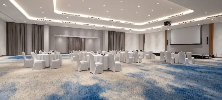 利雅得商业区假日酒店(Holiday Inn Riyadh the Business District)图片