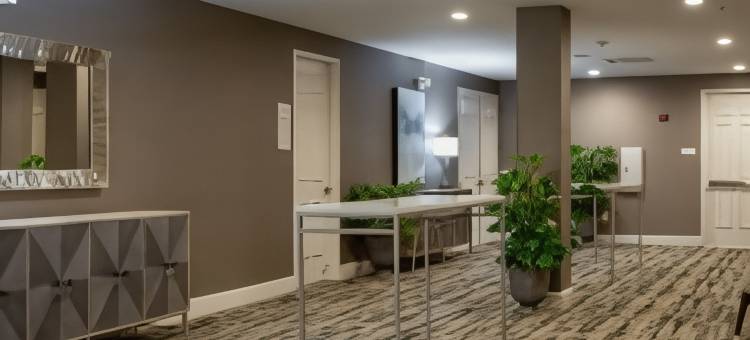 希尔顿花园酒店-提夫顿(Hilton Garden Inn Tifton)图片