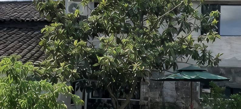 宏村老驴民宿(宏村街分店)图片