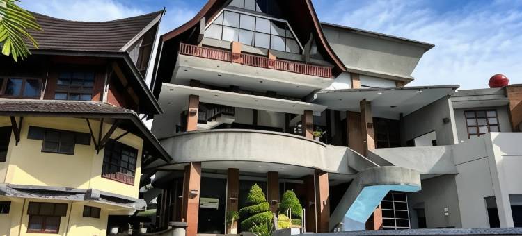 巴拉巴特萨帕迪亚酒店(Sapadia Hotel Parapat)图片