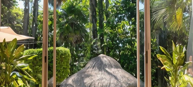 玛雅帕伦克酒店(Hotel Maya Palenque)图片