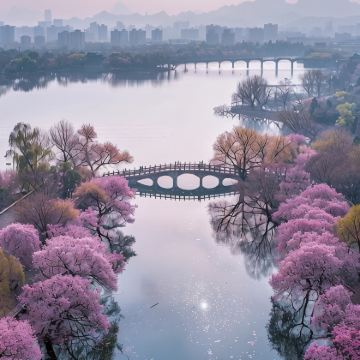 上海+苏州+杭州+无锡+扬州+南京+乌镇12日11晚私家团