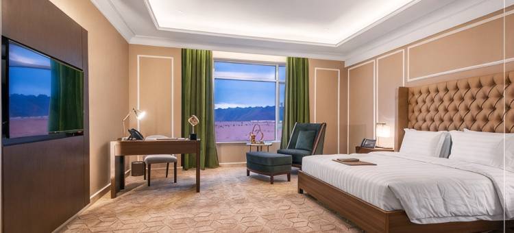 Suknai皇家酒店(Sukani Royal Hotel, Hail)图片