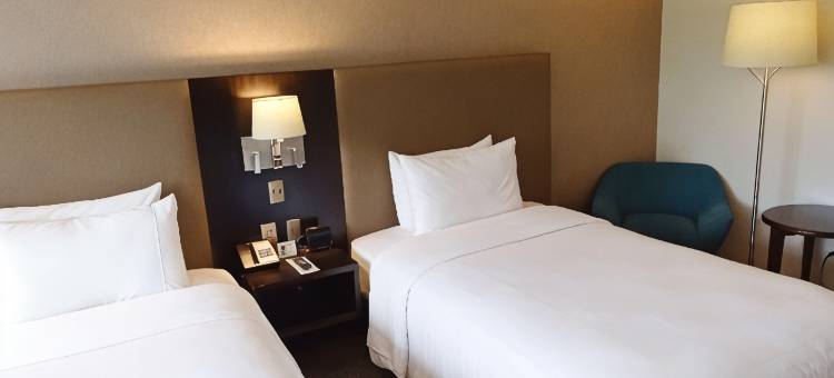 丽筠酒店-圣克鲁斯(Radisson Hotel Santa Cruz)图片