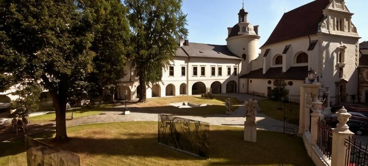 奥洛摩茨OREA酒店阿里贡内(Orea Hotel Arigone Olomouc)图片