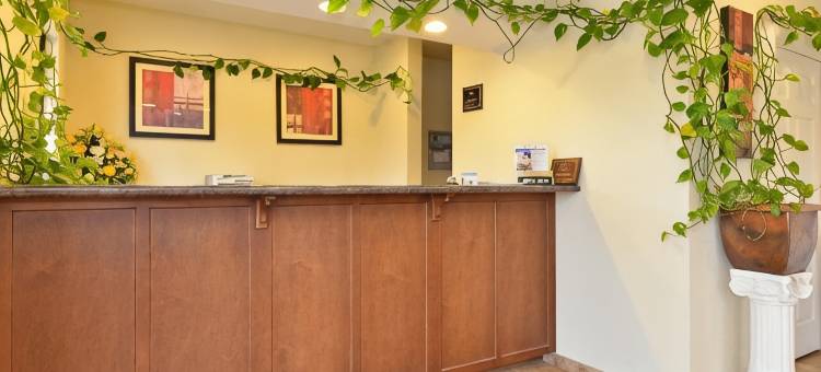 拜黑利亚美洲最佳价值酒店(Americas Best Value Inn- Byhalia)图片