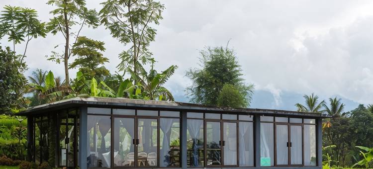 茶园度假村(Tea Garden Resort)图片