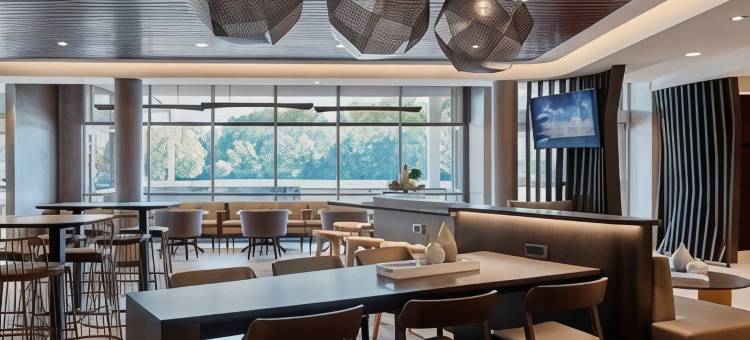 阿普尔顿万豪斯普林希尔套房酒店(SpringHill Suites by Marriott Appleton)图片