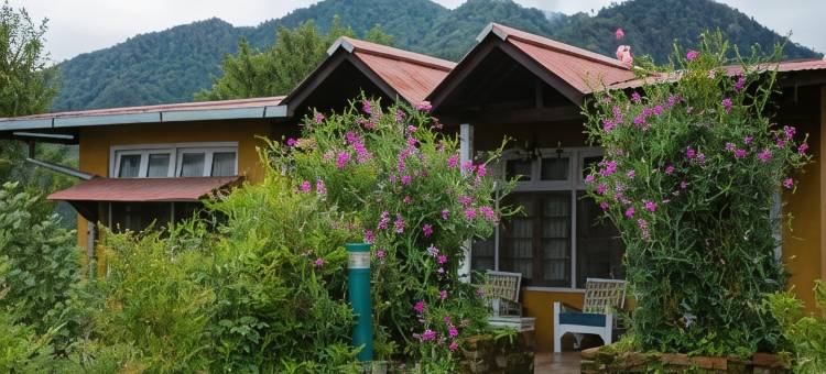 尼姆拉纳斯-拉姆格尔平房(Neemrana's - Ramgarh Bungalows)图片