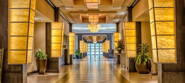 凯普斯酒店(Hotel Capstone)图片