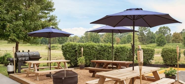 库尔佩珀温德姆麦客达套房酒店(Microtel Inn & Suites by Wyndham Culpeper)图片