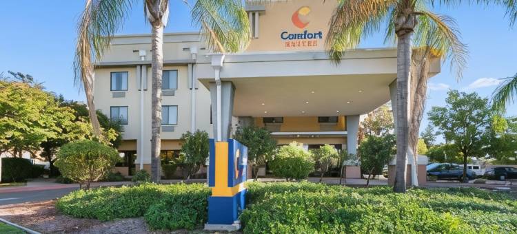 瓦卡拉维尔 - 纳帕谷舒适套房酒店(Comfort Suites Vacaville-Napa Valley Area)图片