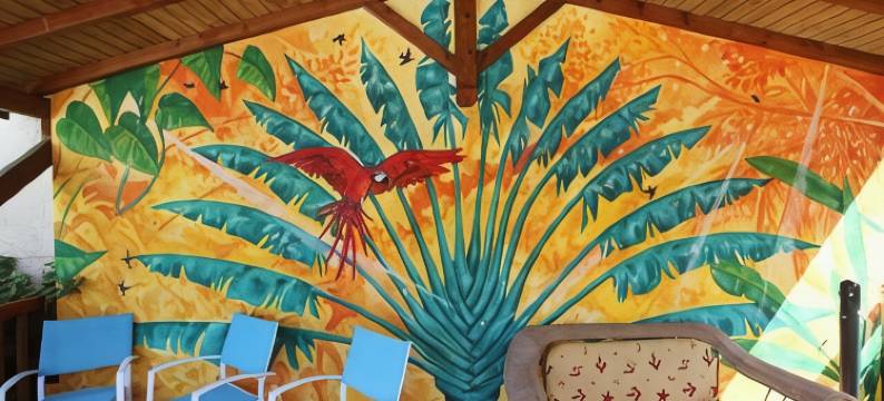 克里奥尔酒店(Hotel la Maison Creole)图片