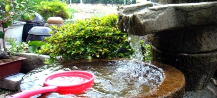 泗川Baegunimeomuneungot旅馆(Sacheon Baegunimeomuneungot Pension)图片